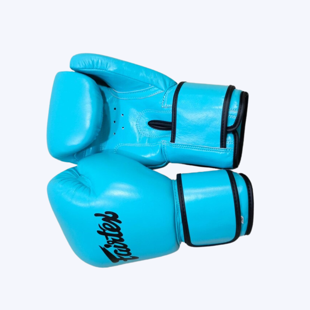 Blue Boxing Gloves