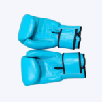 Blue Boxing Gloves