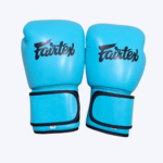 Blue Boxing Gloves