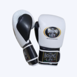 White & Black Boxing Gloves