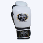 White & Black Boxing Gloves