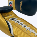 Blue and Yellow Winning Boxing Gloves