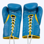 Light Blue Winning Boxing Gloves