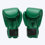 Fairtex Green Serpent Premium Boxing Gloves